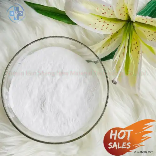Hot Sell Factory Supply Raw Material CAS 1191237-69-0 GS-441524