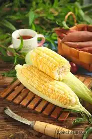 CORN GLUTEN AMINO ACIDS