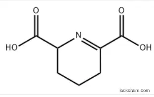 2,3,4,5-tetrahydro-2,6-pyridinedicarboxylic acid CAS：2353-17-5