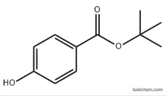 tert-butyl 4-hydroxybenzoate CAS：25804-49-3