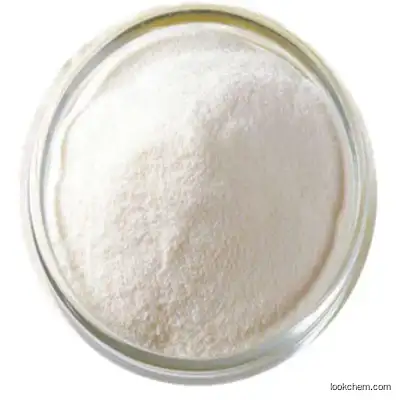 Factory Supply High Quality (S) - (+) -2-Chlorophenylglycine Methyl Ester Powder CAS. 141109-14-0 99% Purity