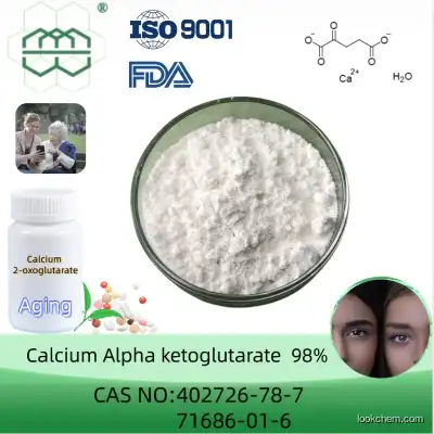 Manufacturer Supplies supplement high-quality Calcium Alpha ketoglutarate powder 98% purity min.