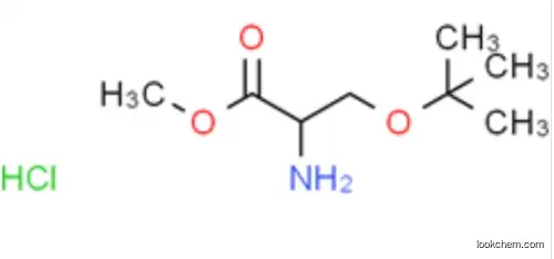 O-tert-Butyl-D-serine methyl ester hydrochloride CAS 78537-14-1