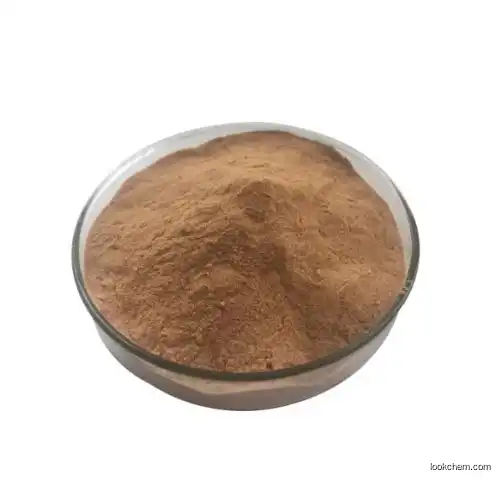 Anti-Inflammatory Raw Material Verbascoside With CAS 61276-17-3 In Large Stock