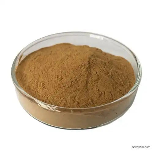Anti-Inflammatory Raw Material Verbascoside With CAS 61276-17-3 In Large Stock