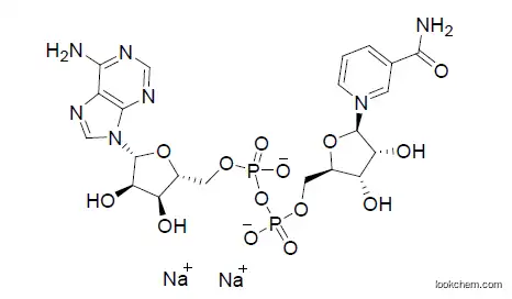 High Quality β-Nicotinamide adenine dinucleotide reduced disodium salt (NADH) 95% Supplement China Manfacturer