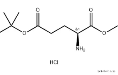 L-Glutamic acid 5-tert-butyl 1-methyl ester hydrochloride CAS 6234-01-1