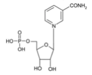 High purity β-Nicotinamide Mononucleotide1094-61-7