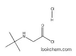 2-[(tert-Butyl)amino]acetyl chloride hydrochloride 915725-52-9