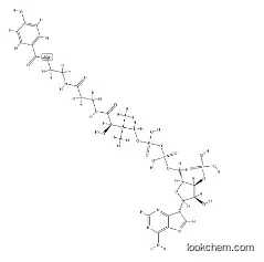 4-hydroxybenzoyl-coenzyme A  CAS：27718-41-8