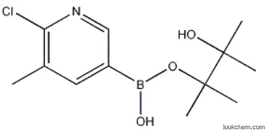2-Chloro-3-methyl-5-(4,4,5,5-tetramethyl-1,3,2-dioxaborolan-2-YL)pyridine CAS 1010101-07-1