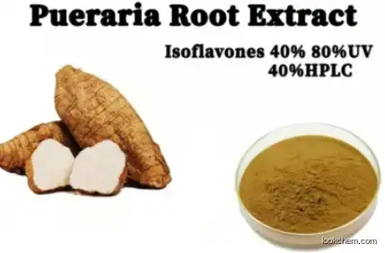 CAS 5013-01-4 Kudzu Root Extract 50% Puerarin Powder Pueraria Extract