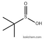 2-Propanesulfinic acid,2-methyl- CAS：29099-08-9