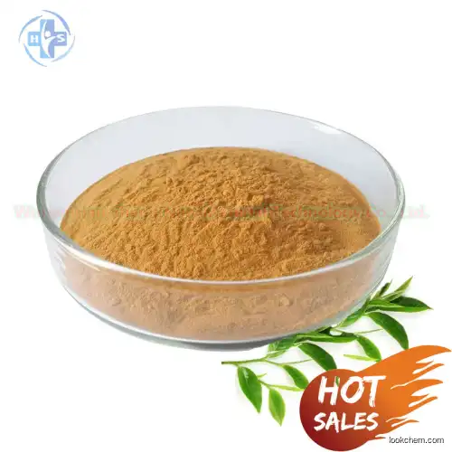Hot Sell Factory Supply Raw Material 3,6-Dichloro-4-methylpyridazine Chlorpyrifos CAS 19064-64-3