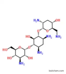 CAS: 32986-56-4 Tobramycin