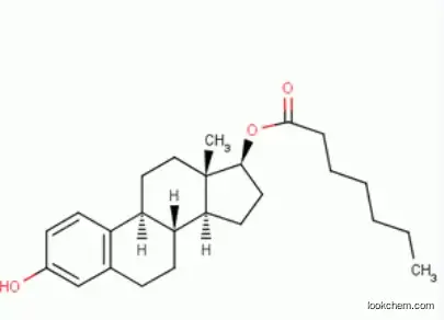 Oestradiol 17-Heptanoate CAS 4956-37-0 Estradiol Enanthate