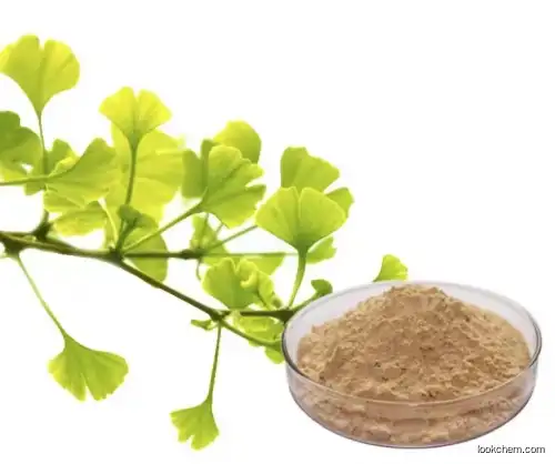 High Quality Pure natural Ginkgo Biloba Extract CAS 90045-36-6 with Nice Price