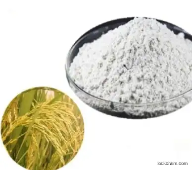 Rice Bran Extract CAS 100403-19-8  Phytoceramides/Ceramide