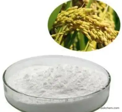 Rice Bran Extract CAS 100403-19-8  Phytoceramides/Ceramide