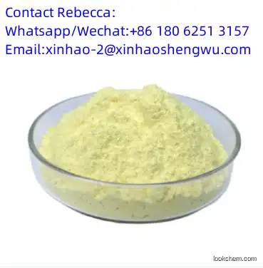 High Quality Baicalin C21H18O11 CAS 21967-41-9