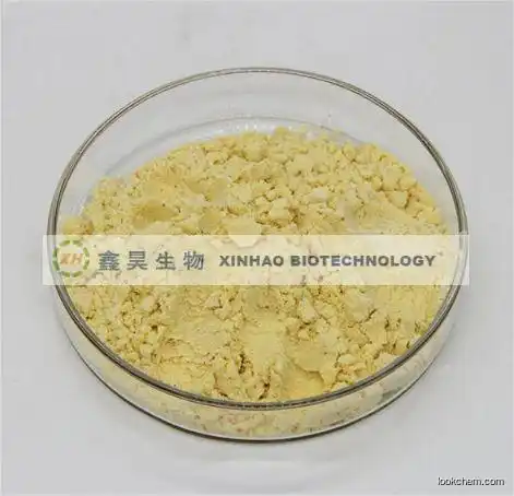 Factory supply 4'-NITROACETANILIDE with Good Price CAS NO.104-04-1