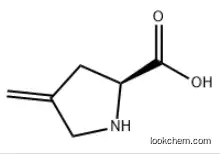 4-methyleneproline CAS：20309-87-9