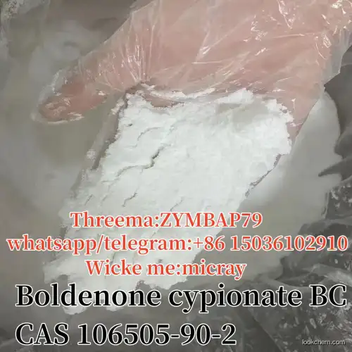 Top purity Boldenone undecylenate steroid powder cas:13103-34-9