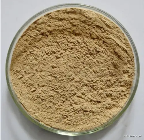 Cnidium Fruit Extract CAS 484-12-8