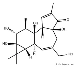 4ALPHA-PHORBOL CAS：26241-63-4