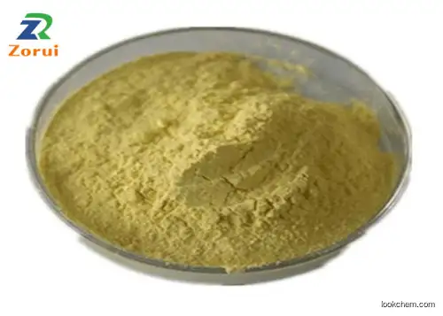 Sophora Japonica Extract/ Quercetin Powder Bulk For Cough Suppressant Expectorant CAS 117-39-5