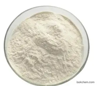 Food Grade Additive Guar Gum Xanthan Gum CAS: 9000-30-0