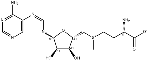 Factory Supply S-Adenosyl-L-methionine