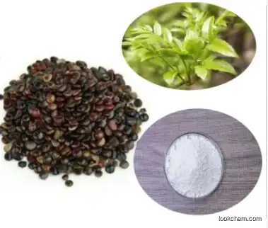 Vine Tea Extract 98% Dihydromyricetin Dhm Powder CAS 27200-12-0