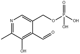 Top supplier  Pyridoxal phosphate  54-47-7 in China