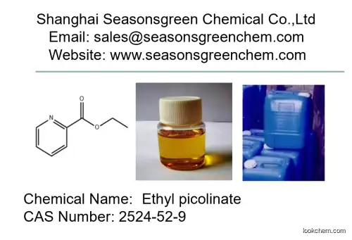 lower price High quality Ethyl picolinate