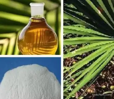 CAS 84604-15-9 Saw Palmetto Fruit Extract