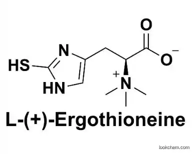 Cosmetic materials Erythrothioneine powder ,CAS:497-30-3