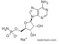 ADENOSINE 5'-MONOPHOSPHORAMIDATE SODIUM SALT CAS 102029-68-5