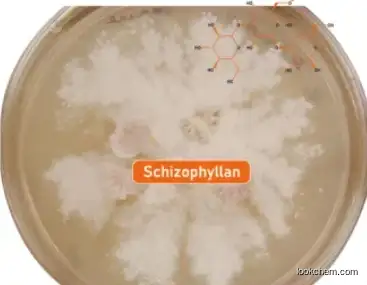 Schizophyllan CAS 9050-67-3