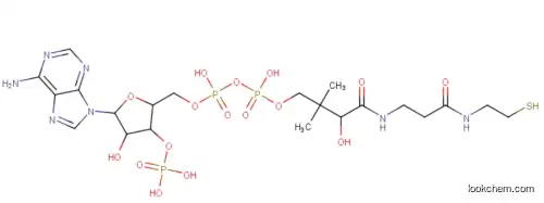 Coenzyme a CAS 85-61-0