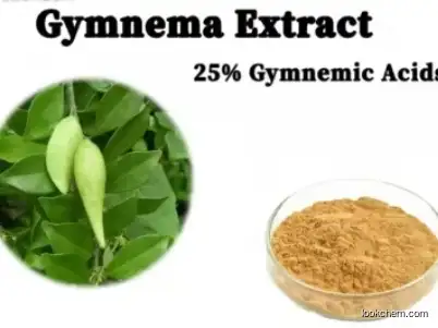 Gymnema Extract Herbal Extract CAS 1399-64-0