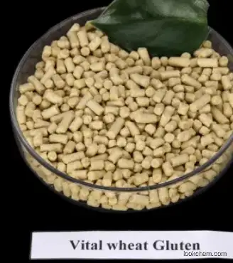 Food Grade Vital Wheat Gluten CAS 8002-80-0