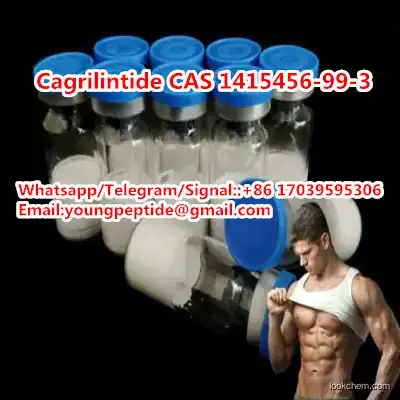 Cagrilintide CAS 1415456-99-3 good quanlity Weight loss peptides(1415456-99-3)