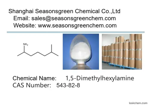 lower price High quality 1,5-Dimethylhexylamine