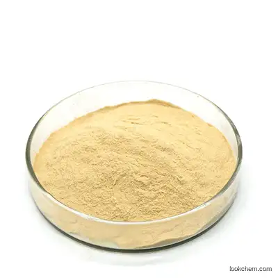 Food Grade Smoketree Extract Sumac Extract 98% Fisetin Cas 528-48-3