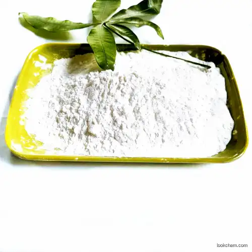 API Pramiracetam for Anti-Alzheimer′ Drug CAS 68497-62-1 Pramiracetam Powder