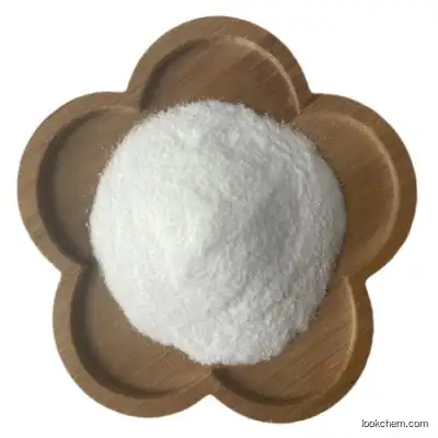 99% purity low price Methylamine hydrochloride CAS 593-51-1