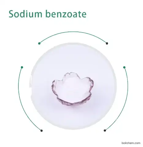 Food Preservative CAS No.: 532-32-1 Sodium Benzoate for Food Usage