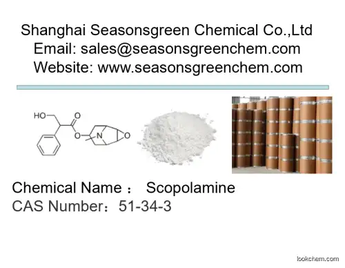 lower price High quality Scopolamine