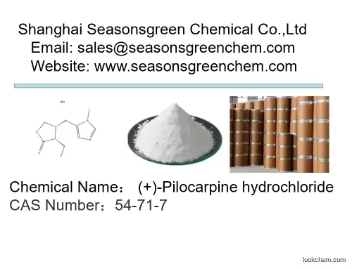 lower price High quality (+)-Pilocarpine hydrochloride